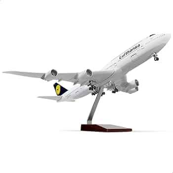 51lyXo7+zIL._AC_UF350,